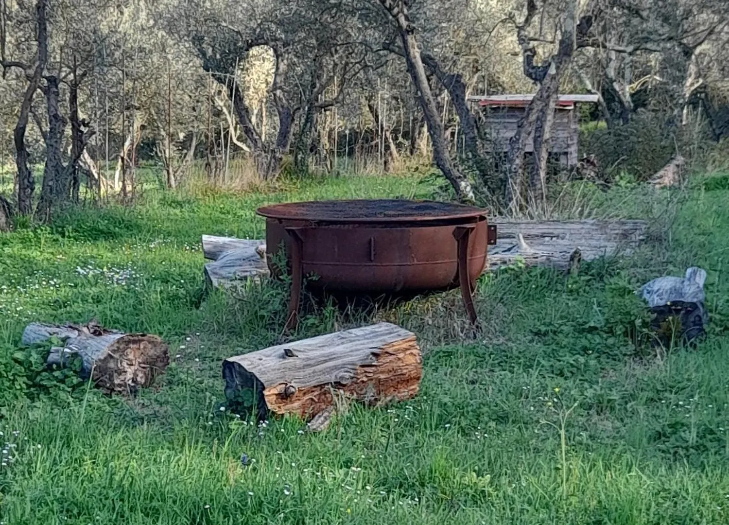 La Tana Del Porcospino Villa Montespertoli Holiday home