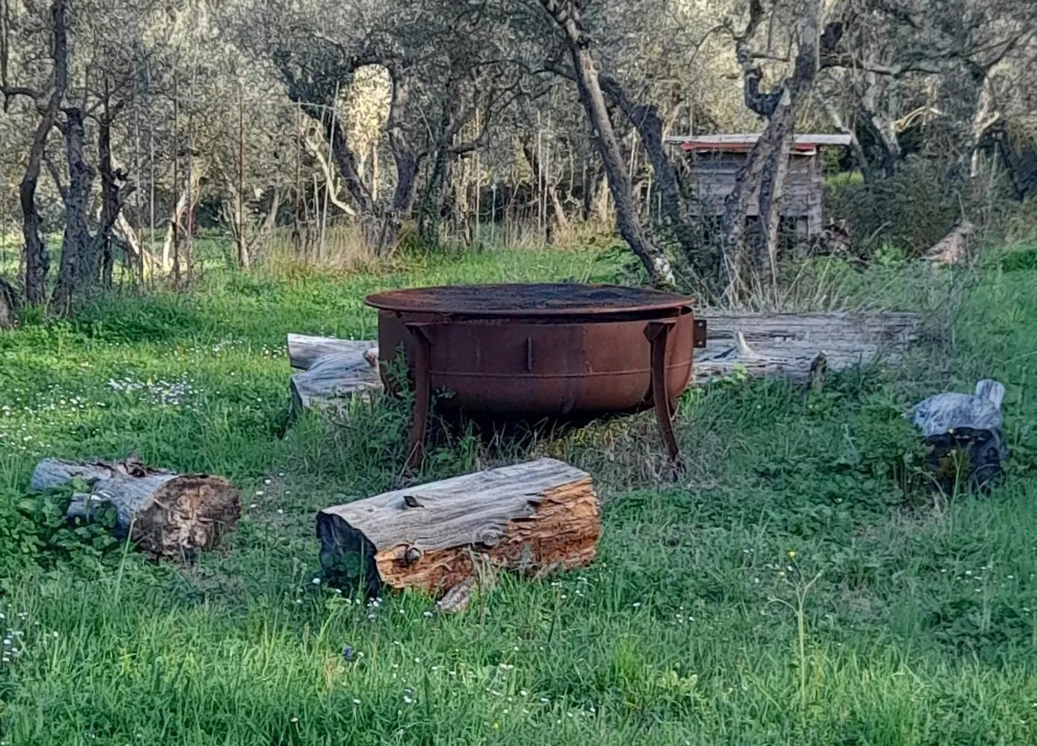 La Tana Del Porcospino Villa Montespertoli Italy