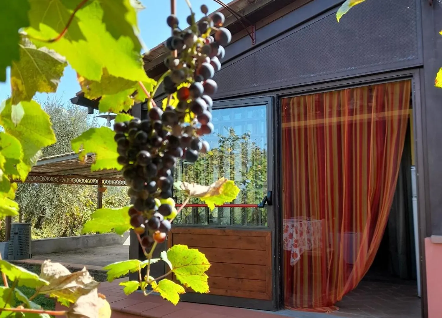 La Tana Del Porcospino Villa Montespertoli Italy